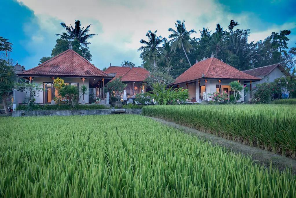 Villa Heron Ubud Extérieur photo